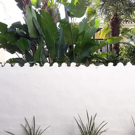 Apartment Puerto Banus Boho